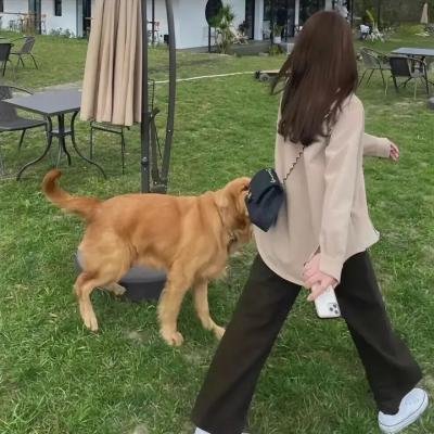 丹尼尔的魔法冒险